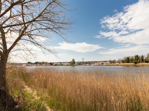 Alexis Apartament Dziwnów Екстериор снимка
